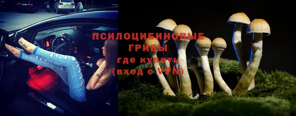 ПСИЛОЦИБИНОВЫЕ ГРИБЫ Майский
